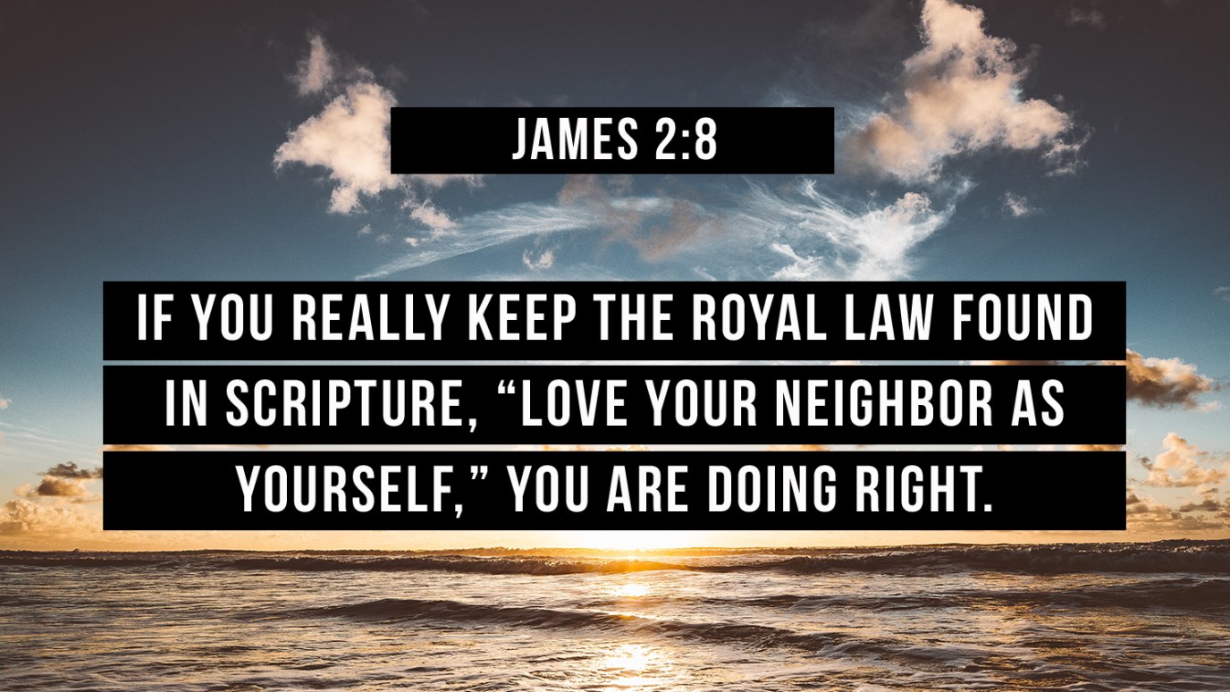 Verse of the Day James 28 iDisciple